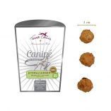 TERRA CANIS CANIPE’ CANGURO IPOALLERGENICO 200 g